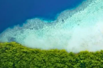 How the Global Plastic Action Partnership is Combatting Pollution