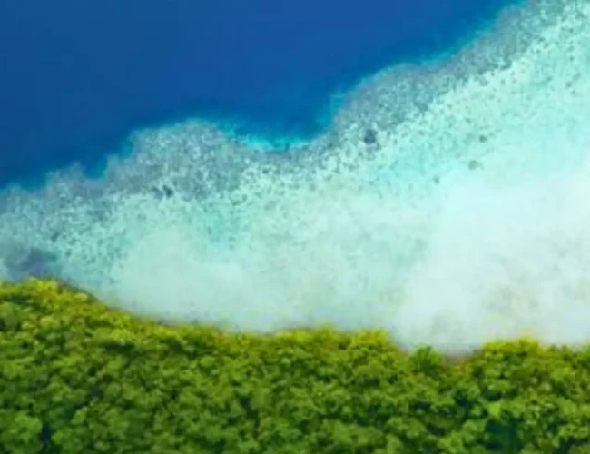 How the Global Plastic Action Partnership is Combatting Pollution