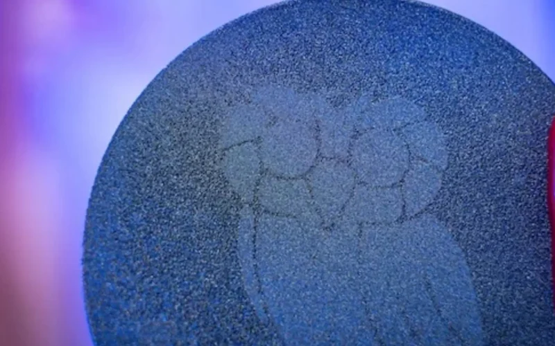 Selectively grown diamond microstructure in the shape of an owl. (Photo by Jorge Vidal/Rice University)