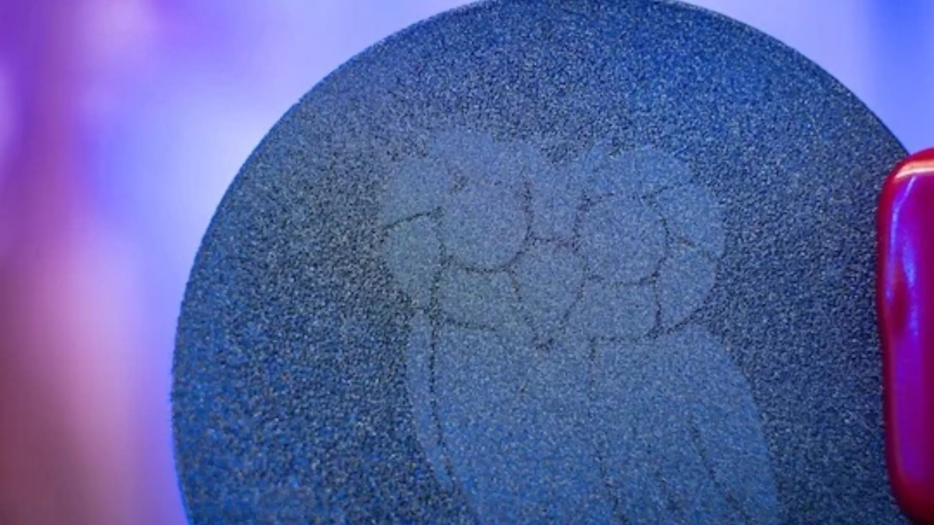 Selectively grown diamond microstructure in the shape of an owl. (Photo by Jorge Vidal/Rice University)