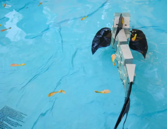 Robots are learning to feel the water