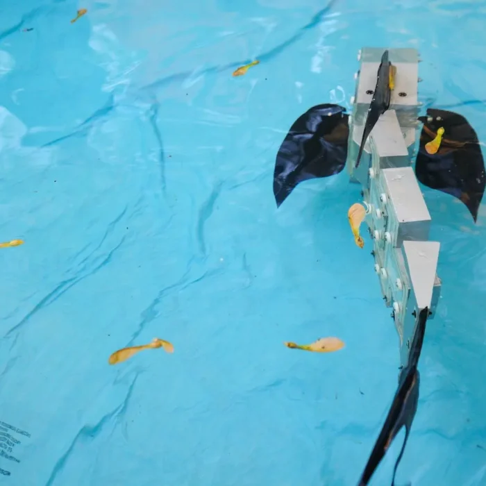 Robots are learning to feel the water