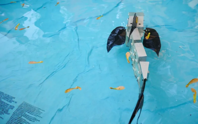 Representative image of a robot fish. (Wikimedia Commons)