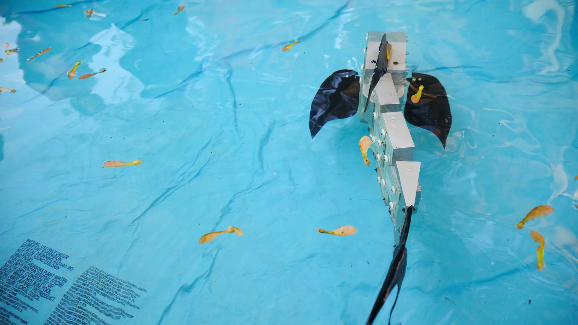 Representative image of a robot fish. (Wikimedia Commons)